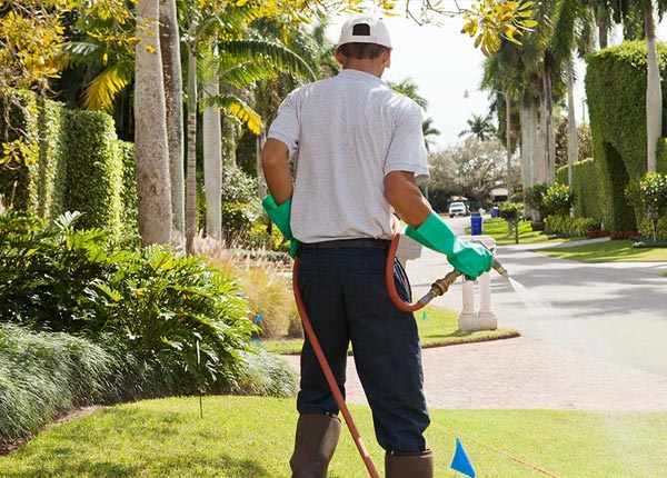 About Lawtell LA Pest Control